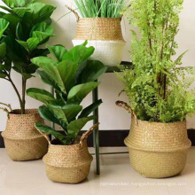 Household decor handmade seagrass belly basket / durable woven seagrass flower pot basket